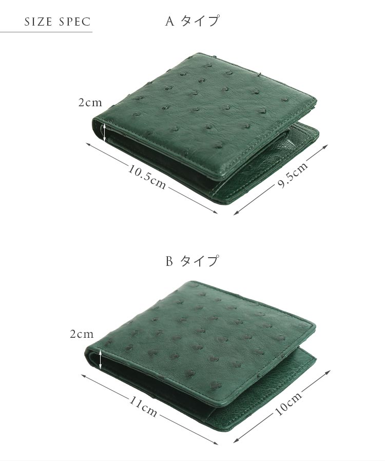 サイズ