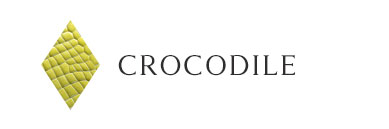 クロコダイル