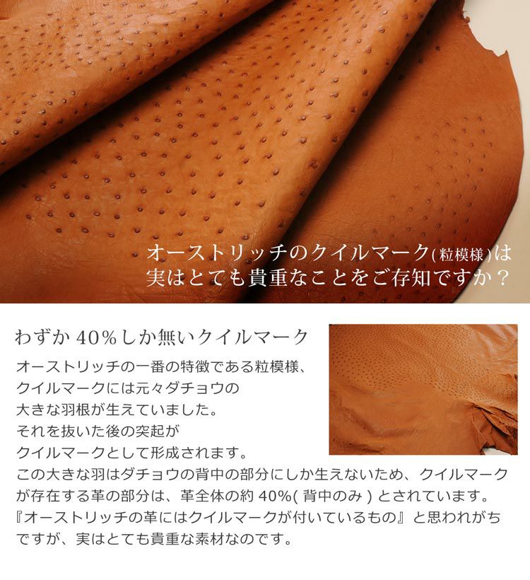 000000000354-07.jpg?size=l&w=