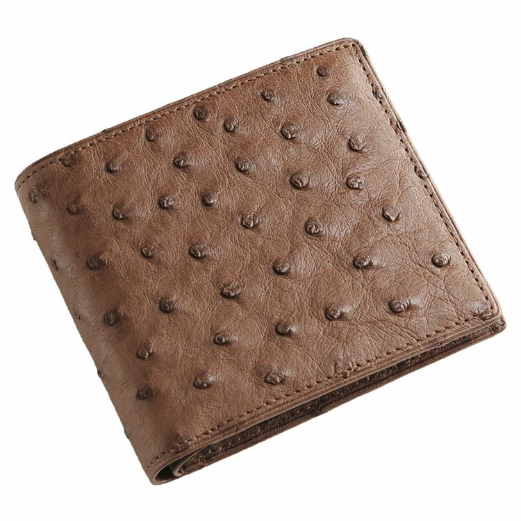 オーストリッチ 二つ折り 財布 両カード メンズ 一枚革 無双仕立て