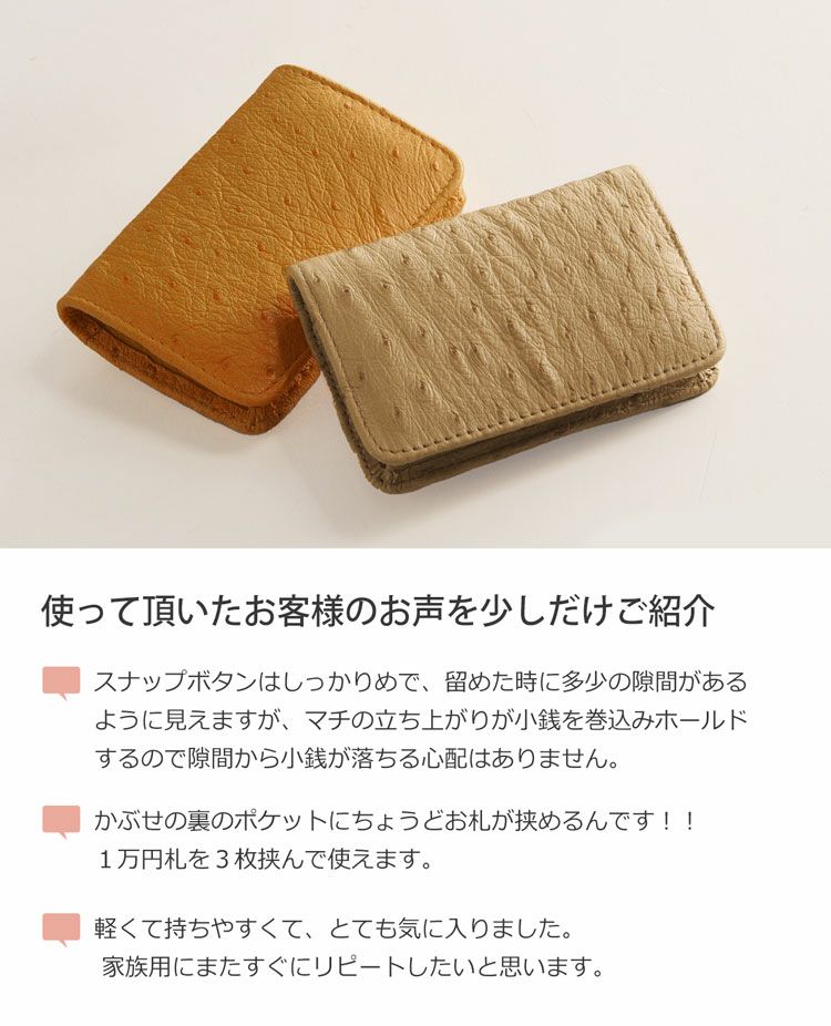 オーストリッチ コインケース 本革 小銭入れ メンズ ボックス型 財布