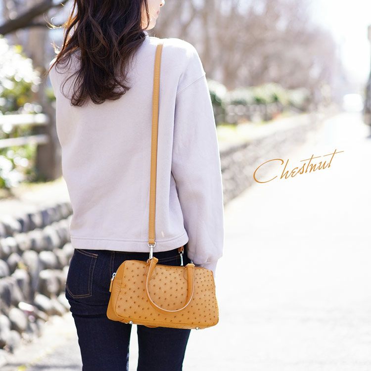 オーストリッチ 2WAY ミニバッグ 5F