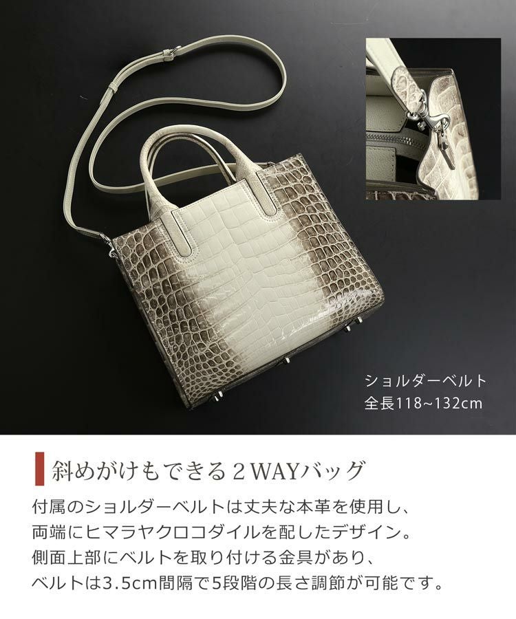 ショルダーベルト付きで2WAYで使える