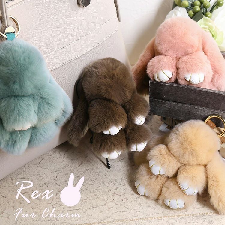 000000002452-01.jpg?size=l&w=