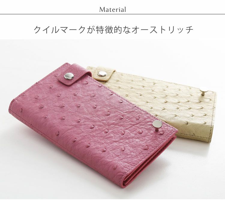 カードケース 本革 オーストリッチ レディース 大容量 20枚収納 ハーフ