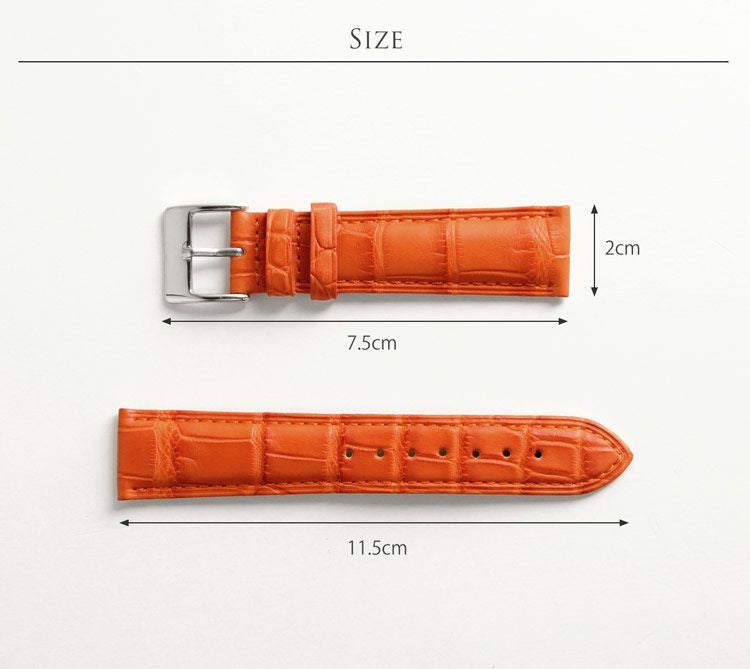 腕時計 付け替え用 ベルト 本革 アリゲーター 鰐皮 20mm【ネコポスで 腕時計 付け替え用 ベルト 本革 アリゲーター 鰐皮 20mm【ネコポスで