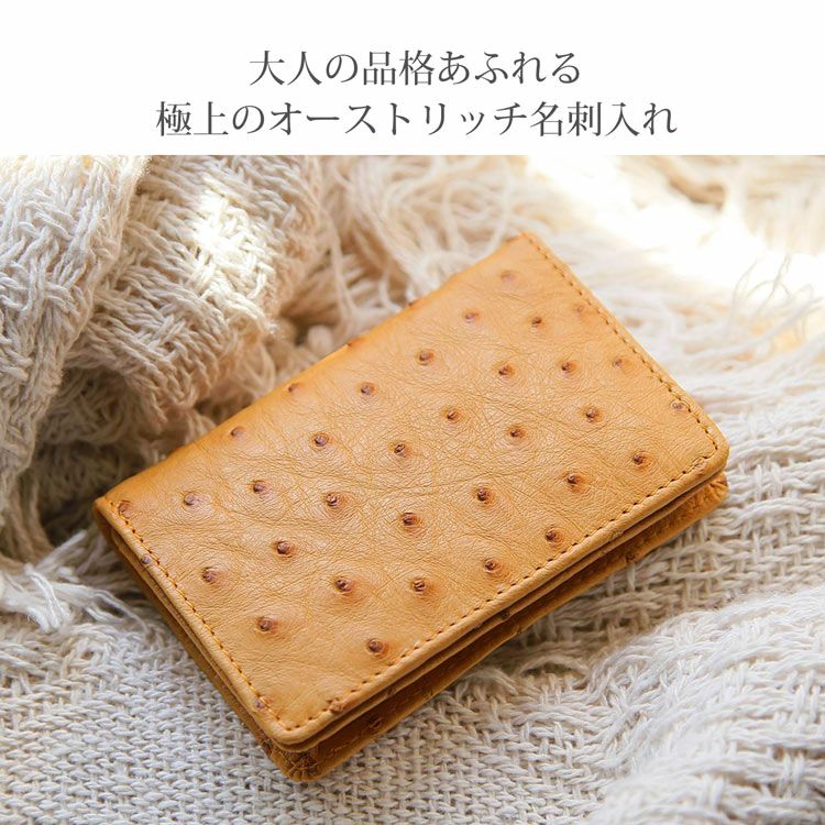 オーストリッチ 名刺入れ カードケース 本革 レディース フルポイント