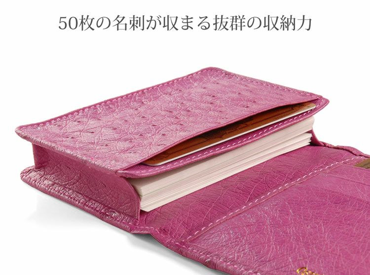 オーストリッチ 名刺入れ カードケース 本革 レディース フルポイント