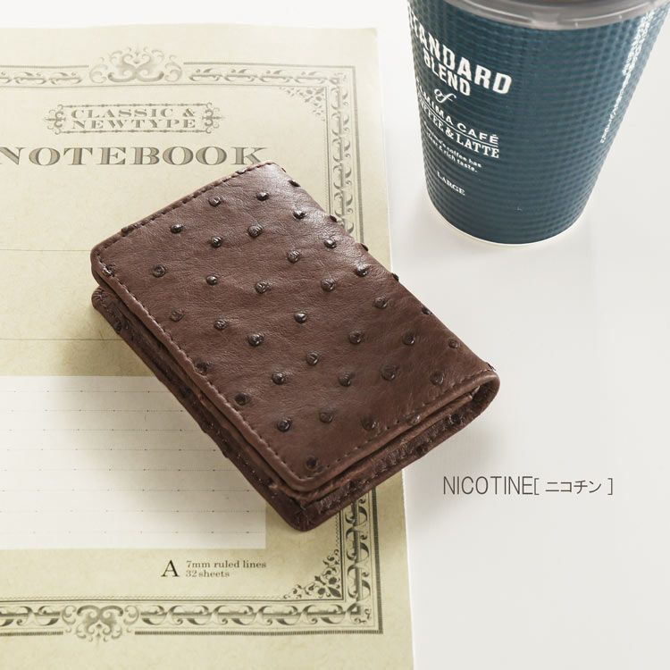 オーストリッチ 名刺入れ カードケース 本革 レディース フルポイント