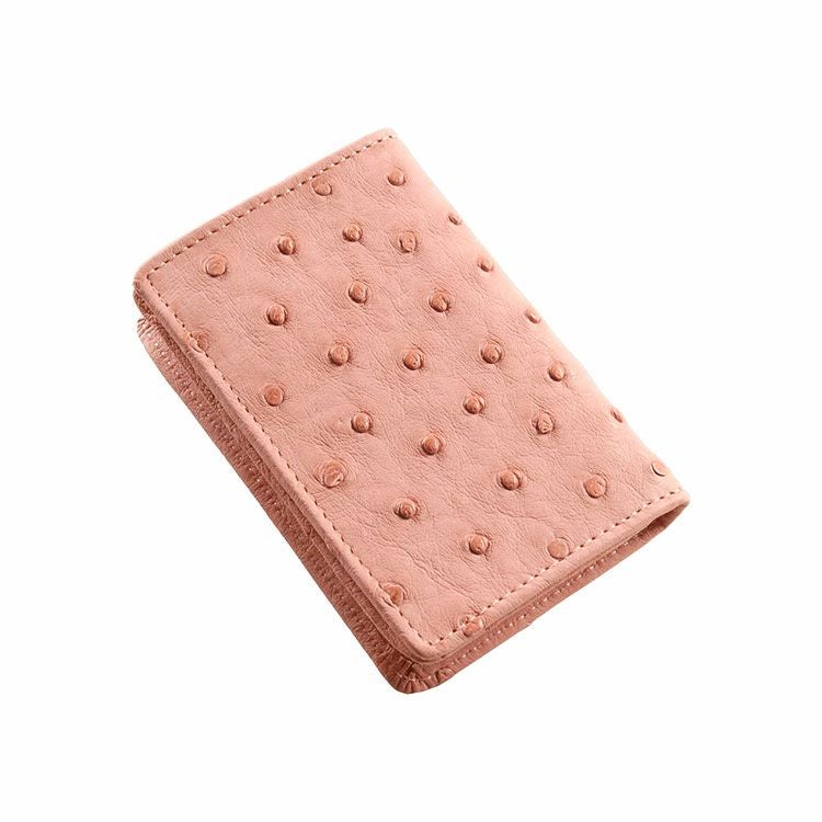 オーストリッチ 名刺入れ カードケース 本革 レディース フルポイント