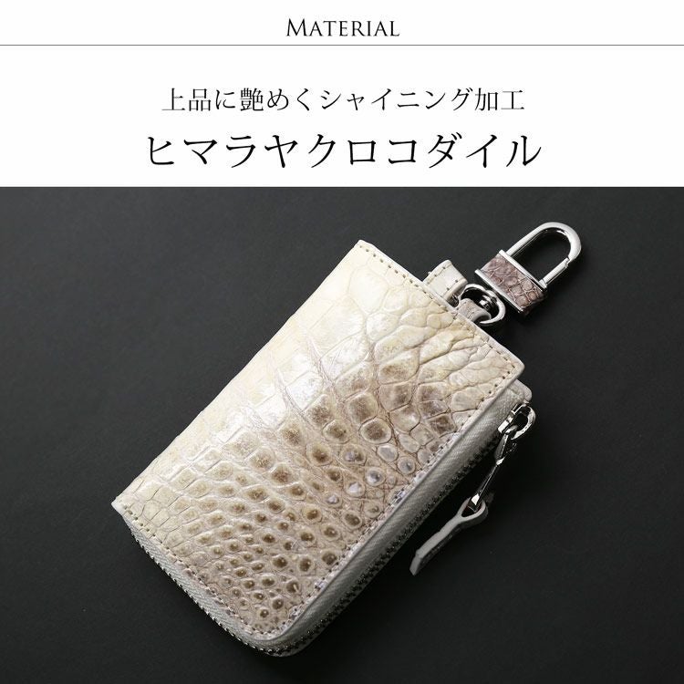 グラデーションカラーが美しいヒマラヤクロコダイル