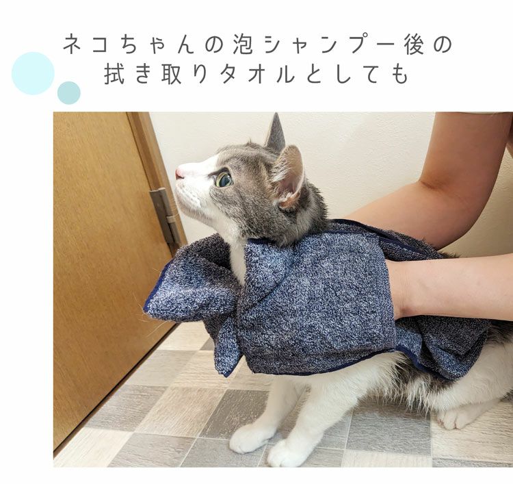 ペット用吸水タオル 8倍吸水 ミトン型 犬 猫 7FB 【ネコポスで送料無料