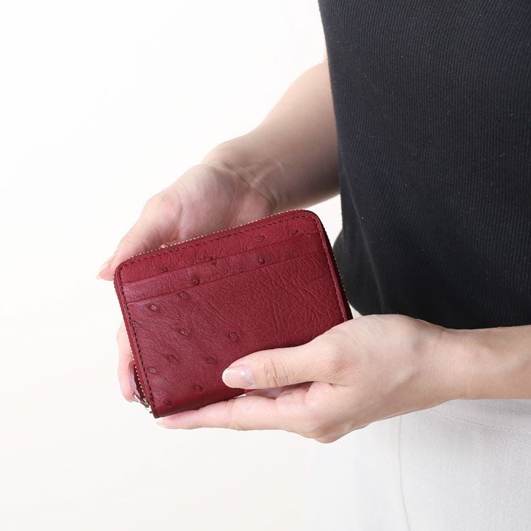 オーストリッチ コンパクト 財布 レディース 女性 ミニ財布 【ネコポス