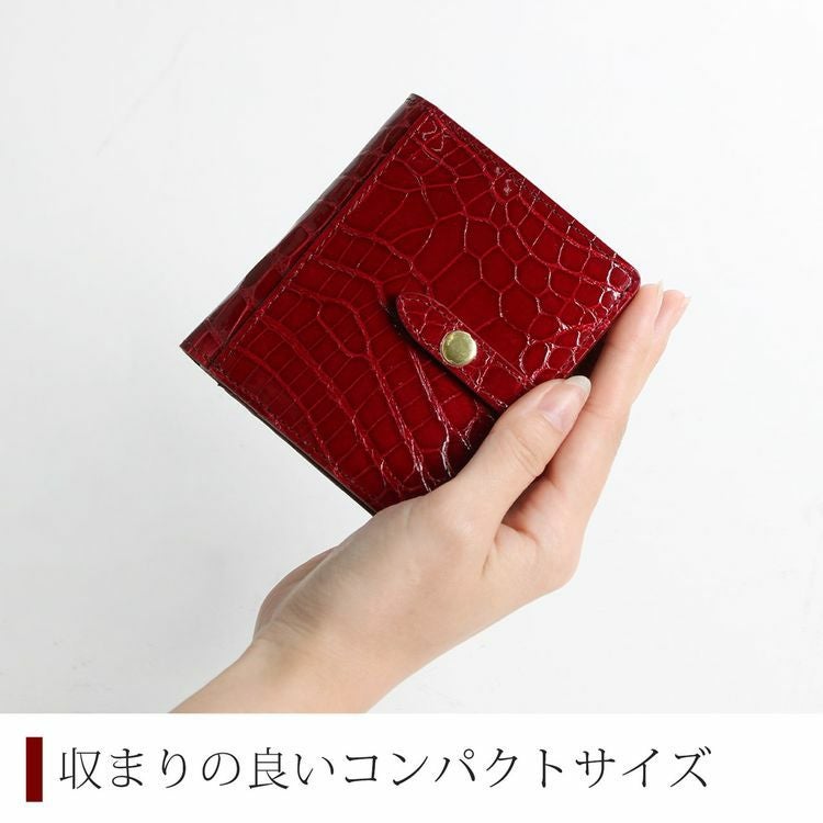クロコダイル 二つ折り 財布 レディース シャイニング 加工 ベルト付き