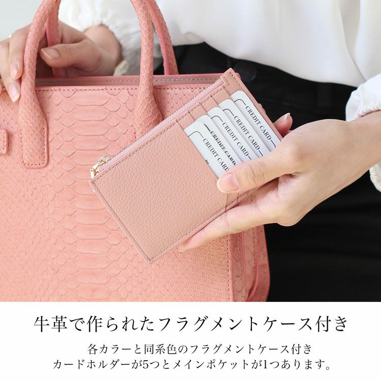 ダイヤモンドパイソンフラグメントケース