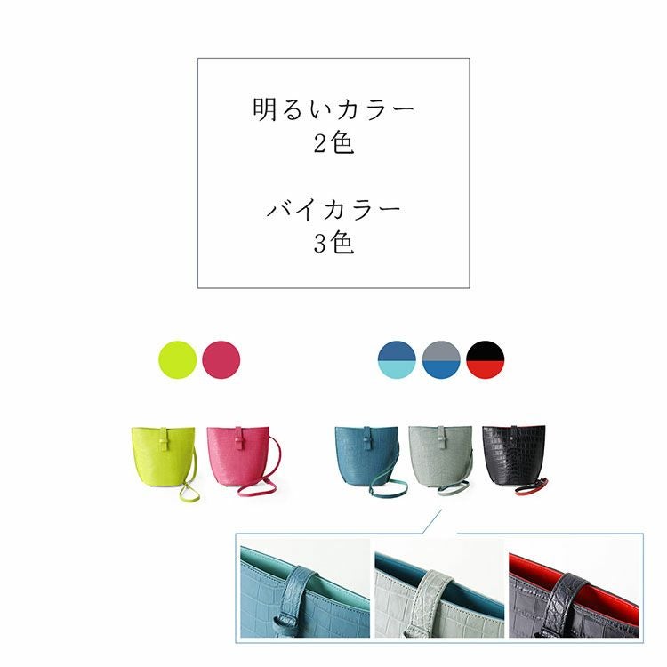 クロコダイル ミニ バッグ ポシェット マット 加工 センター取り
