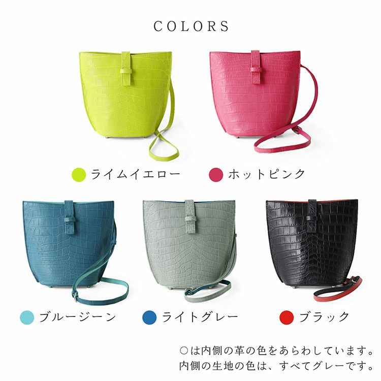 クロコダイル ミニ バッグ ポシェット マット 加工 センター取り