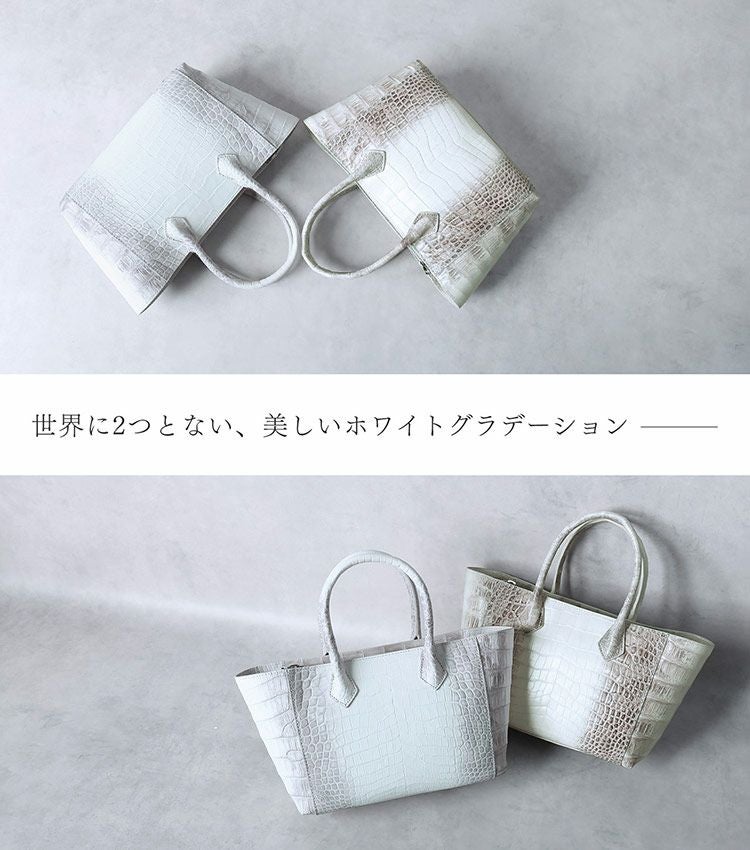 ヒマラヤ クロコダイル ハンドバッグ 2way ショルダーバッグ センター