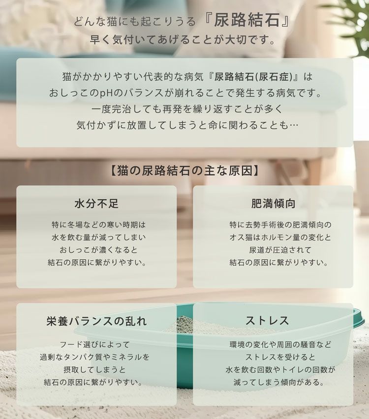 猫砂 健康チェック おから ベントナイト 天然素材 ph おしっこチェック 尿路結石
