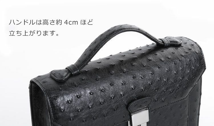 オーストリッチメンズセカンドバッグダイヤルロック式日本製27cmフルポイントブラック