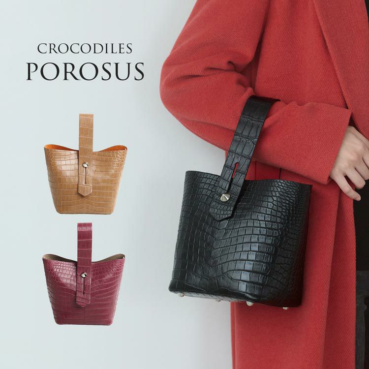 スモールクロコダイル ポロサス ハンドバッグ マット 加工 保証書 付き