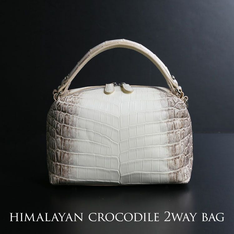 ヒマラヤクロコダイル2wayハンドバッグレディースマット加工センター取り2WAY斜め掛けショルダーバッグ