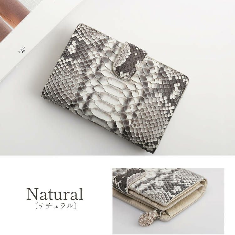 ダイヤモンドパイソンイエロー