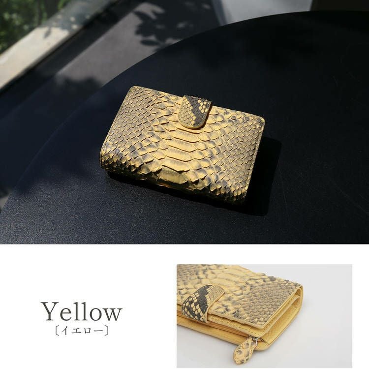 ダイヤモンドパイソンキプロス