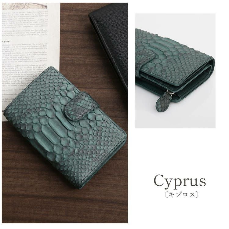 ダイヤモンドパイソンバイオレット