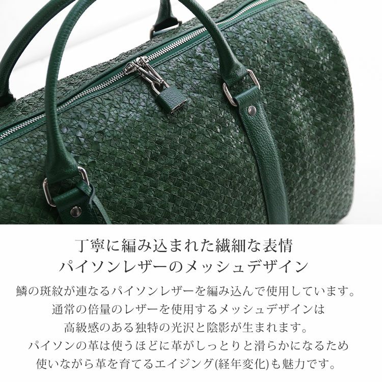 パイソンをメッシュデザインで使用