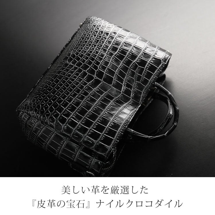 ナイルクロコダイルをセンター取りで使用