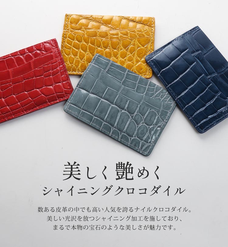 クロコダイル 薄型 カードケース パスケース 定期入れ 本革 レディース
